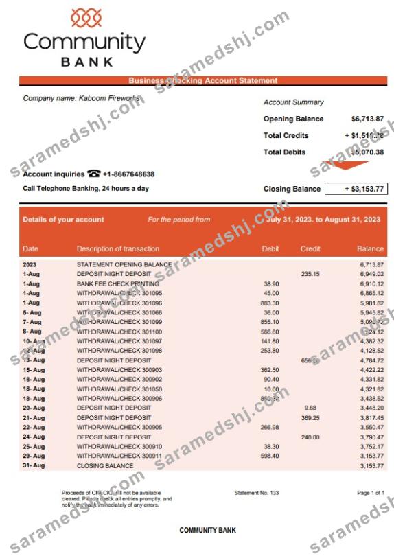 Community Bank Business statement Word and PDF template